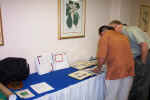 luncheon-display1.jpg (79987 bytes)