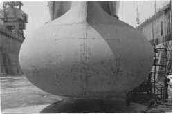 WSSimsSonarDome_small